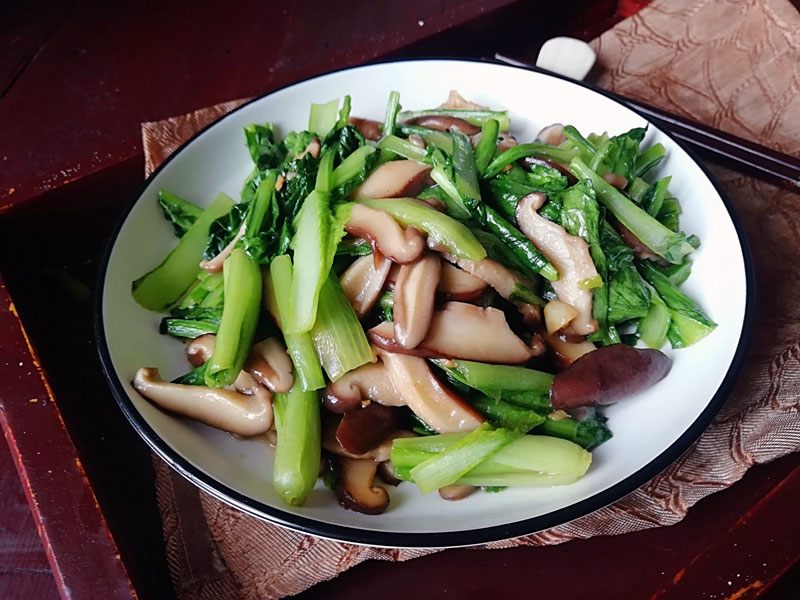 香菇小白菜cover-1