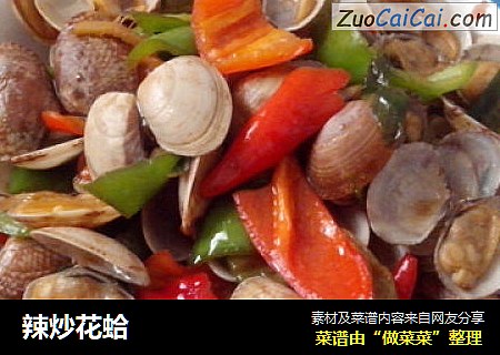 辣炒花蛤