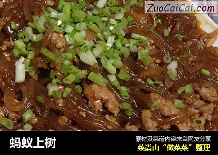 蚂蚁上树