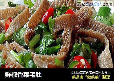 鲜椒香菜毛肚