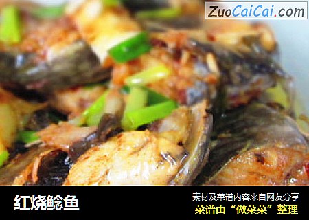 红烧鲶鱼