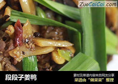 段段子姜鸭
