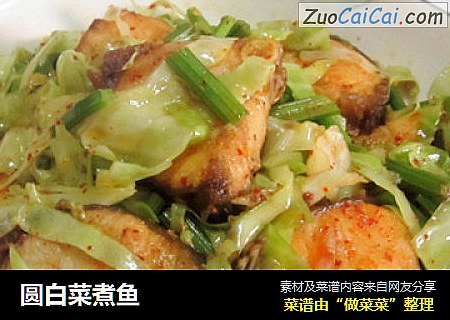 圆白菜煮鱼