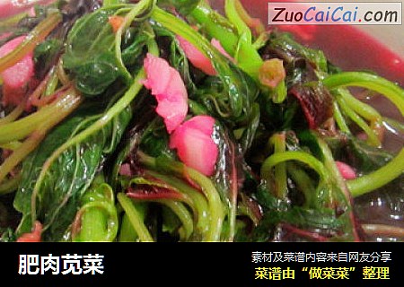 肥肉苋菜
