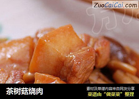 茶树菇烧肉