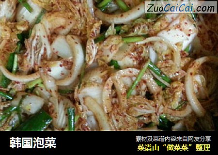 韩国泡菜