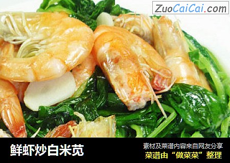 鲜虾炒白米苋