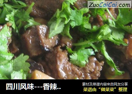 四川风味---香辣牛肉烧笋子