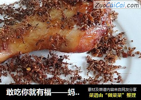 敢吃你就有福——蚂蚁扛鸡腿