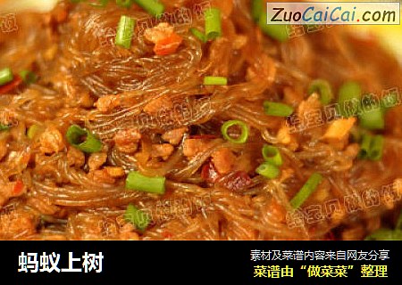 蚂蚁上树