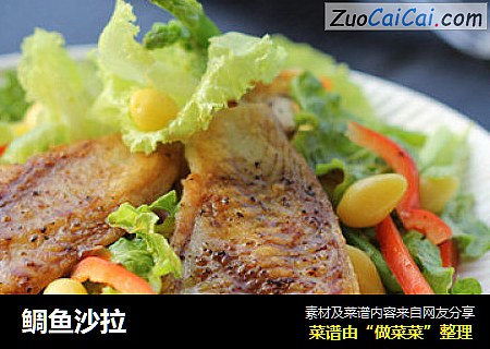 鲷鱼沙拉