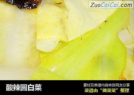 酸辣圆白菜
