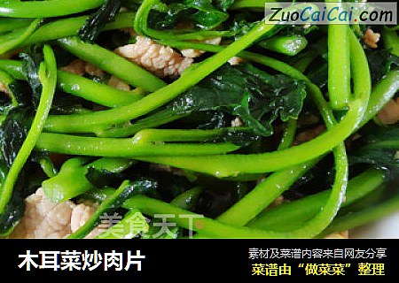 木耳菜炒肉片