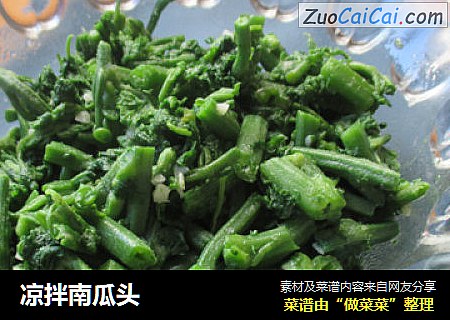 凉拌南瓜头