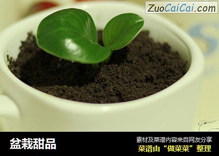 盆栽甜品