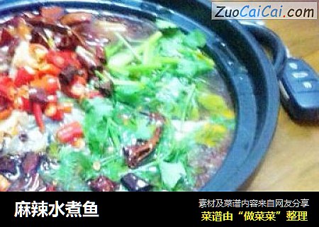 麻辣水煮鱼