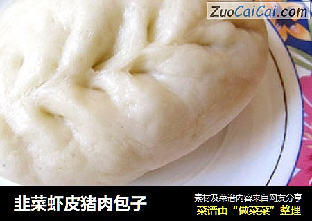 韭菜虾皮猪肉包子