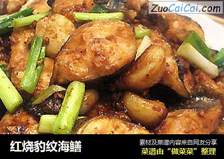 红烧豹纹海鳝