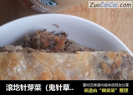 滚圪针芽菜（鬼针草）煎饼