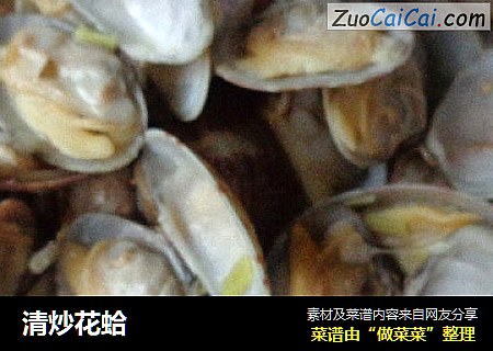 清炒花蛤