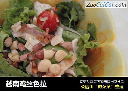 越南鸡丝色拉