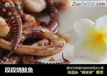 段段烧鱿鱼