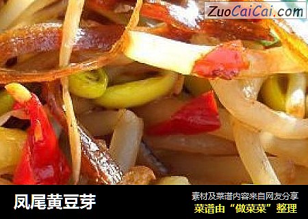 凤尾黄豆芽