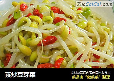 素炒豆芽菜