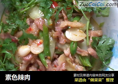 素色辣肉