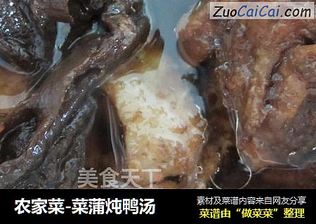 农家菜-菜蒲炖鸭汤