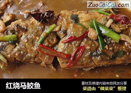 红烧马鲛鱼