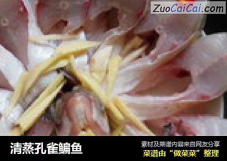 清蒸孔雀鳊鱼