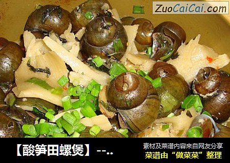 【酸笋田螺煲】----吃再多也不用担心需要减肥，哈哈