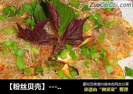 【粉丝贝壳】-----一道无油烟无烦恼的菜哦