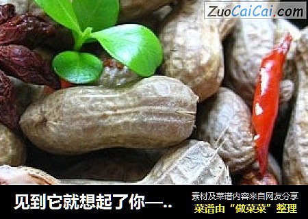 见到它就想起了你——盐水花生