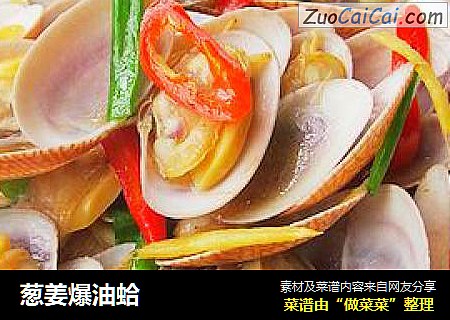 葱姜爆油蛤
