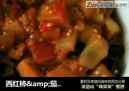 西红柿&茄子 酸酸甜甜