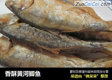 香酥黄河鲫鱼