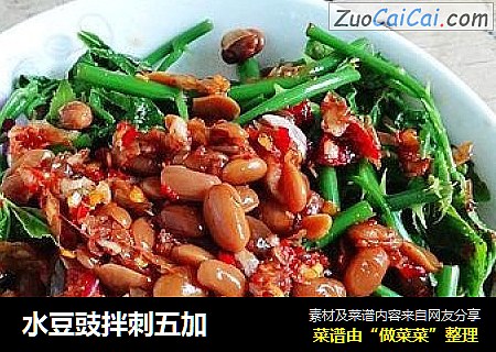 水豆豉拌刺五加