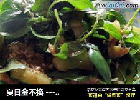 夏日金不换 --- 九层塔凉拌黄瓜