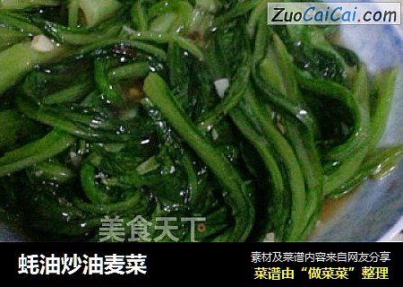 蚝油炒油麦菜