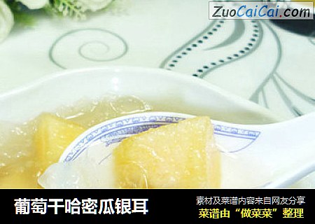 葡萄干哈密瓜银耳