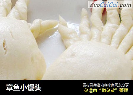 章鱼小馒头