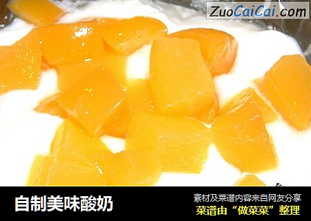 自制美味酸奶