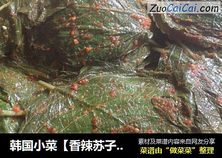韩国小菜【香辣苏子叶】