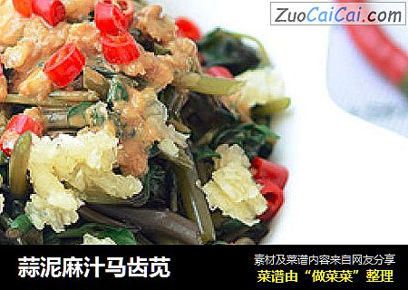 蒜泥麻汁马齿苋