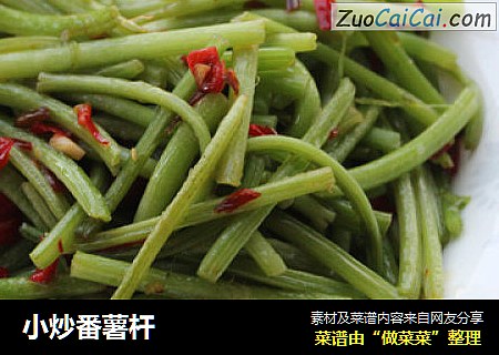 小炒番薯杆