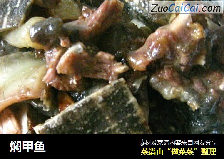 焖甲鱼