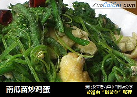 南瓜苗炒鸡蛋