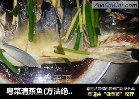 粤菜清蒸鱼(方法绝对正宗，成品咬牙献丑，给大家做反面教材)